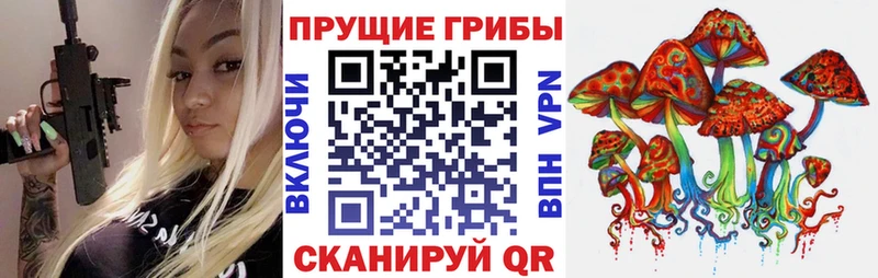 Галлюциногенные грибы Psilocybine cubensis Кондрово