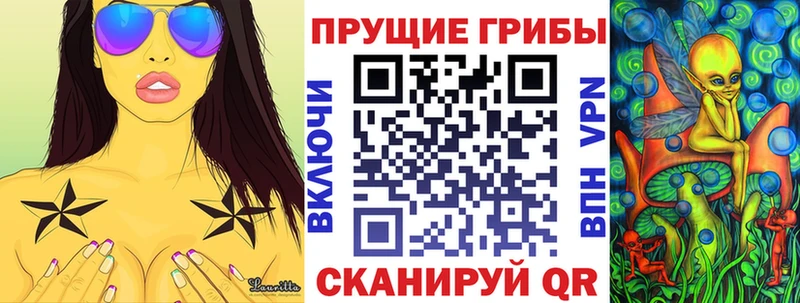 Купить Кондрово Псилоцибиновые грибы мицелий